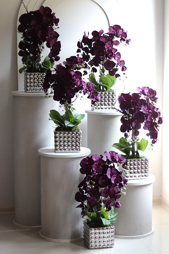 BakłażaNowy, fioletowy storczyk w srebrnej donicy, wys.62cm