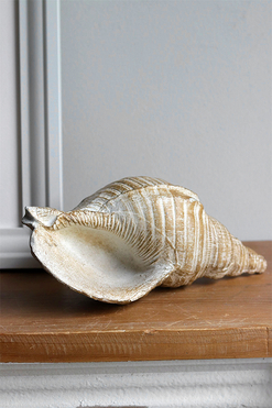 Marine, figurka dekoracyjna, muszla B, wym.24x11x9cm