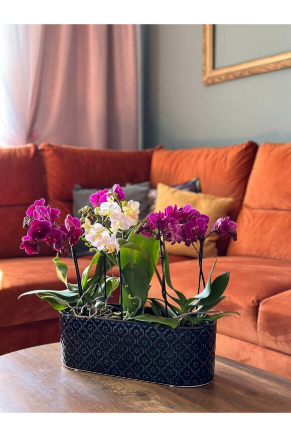 Vintage Orient, osłonka ceramiczna doniczka, zielona