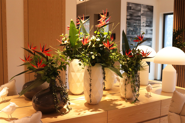 Strelicja Moko, egzotyczny bukiet do wazonu