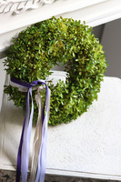 zielony wianek z bukszpanu, Edwina