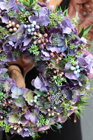 Hydrangea VIP Nemora, fioletowy wianek z hortensją