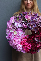 Hortensje Beautiful, wysokiej jakości wianek z hortensjami