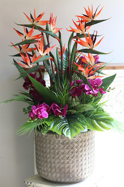 Strelicja&Orchidea Boho, egzotyczna kompozycja, wys.105 cm