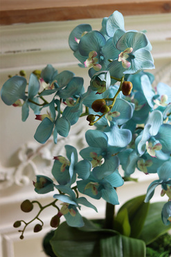 Blue Venice, turkusowy sztuczny storczyk w coolerze, wys.57cm