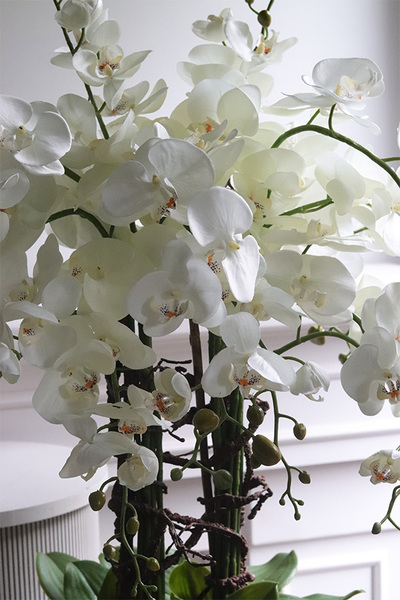 Emilie Mediolan Black, sztuczny storczyk w czarnej donicy