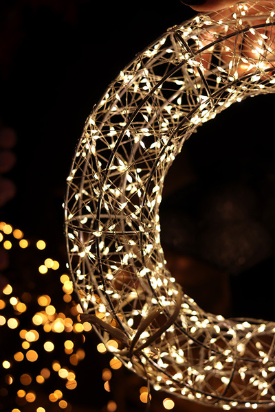 Christmas Light, świąteczna figurka wieniec LED