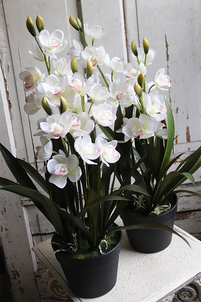 OD RĘKI Ramesa Cymbydium, sztuczny storczyk doniczkowy, wys.55cm