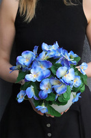 Bratki Blue, niebieskie bratki w naczyniu