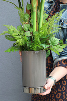 Amarylia Big, dekoracja kwiatowa z amarylisem, wys.110cm 