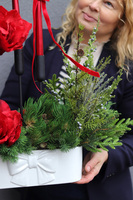 Amarylis Kokarda Denerra, świąteczna kompozycja z czerwonymi kwiatami