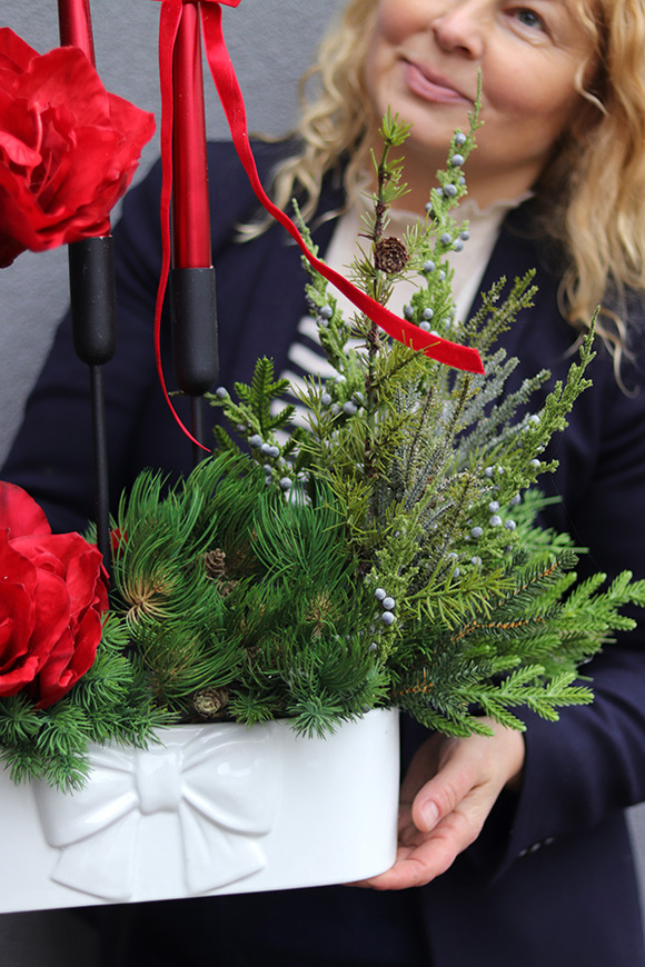 Amarylis Kokarda Denerra, świąteczna kompozycja z czerwonymi kwiatami