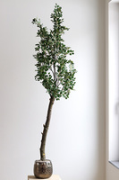 Gredde, sztuczne drzewko w ceramicznej donicy