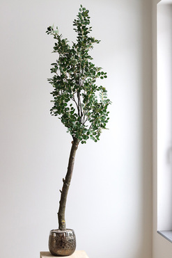 OD RĘKI Gredde, sztuczne drzewko w ceramicznej donicy, wys.155cm