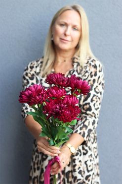 Chryzantema Memory, bukiet chryzantem, bordowe, 3szt, dł.73cm 