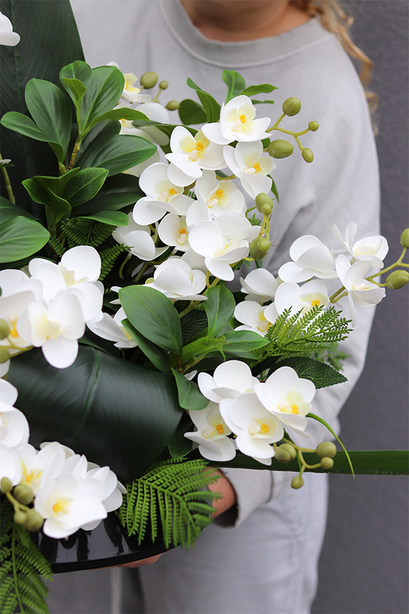 White Orchidera kompozycja nagrobna w plastikowym naczyniu