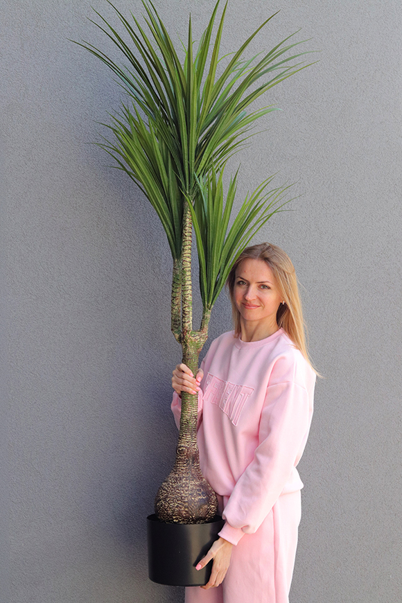 Dracena, wysokiej jakości sztuczna roślina