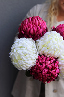 Chryzantemy Duo, bukiet do wazonu