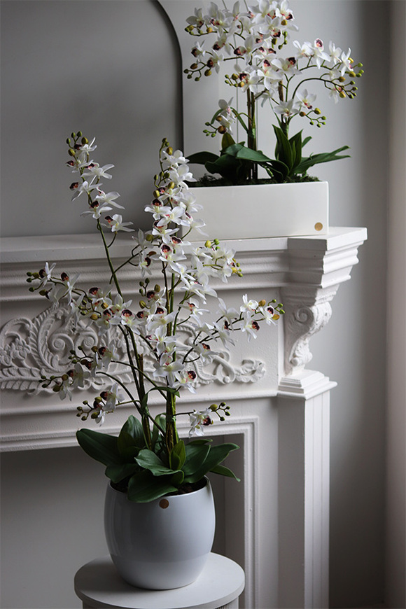 Tajlandia Simple, sztuczny storczyk tajski