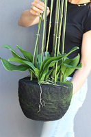 Andaluzja A storczyk sztuczny - wkład do donicy