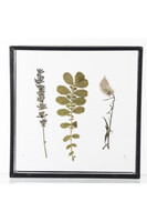 Botanika A, taca ze szklanym blatem