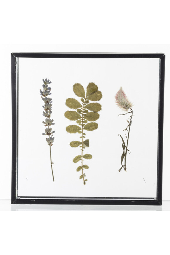 Botanika A, taca ze szklanym blatem