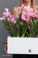 Samanta Pink Cymbydium wysokiej jakości sztuczny storczyk