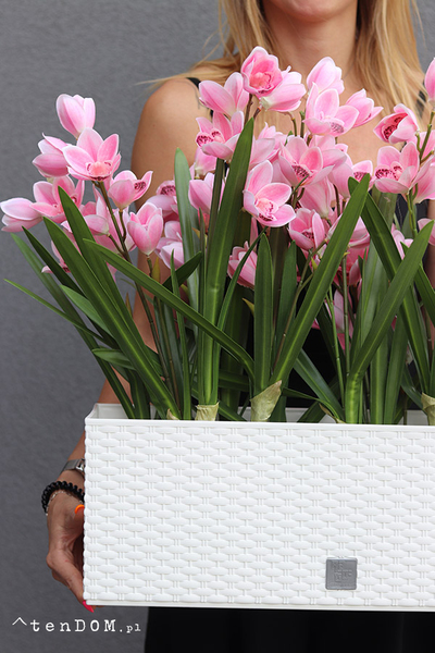 Samanta Pink Cymbydium wysokiej jakości sztuczny storczyk