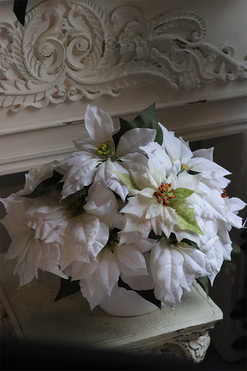 Simple Cinderella, wysokiej jakości Biała Gwiazda Betlejemska, wym.39x40x28cm