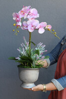 Szampania, różowy storczyk z lawendą