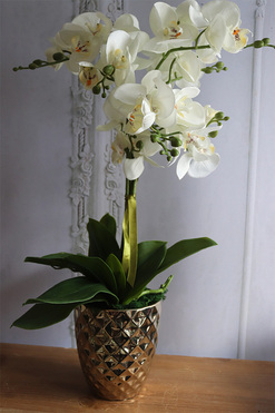 Filano Gold, sztuczny storczyk w złotej donicy, wys.60cm  