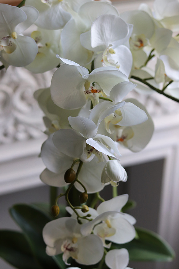 Ydetta Ażur na nodze, storczyk w ażurowej donicy