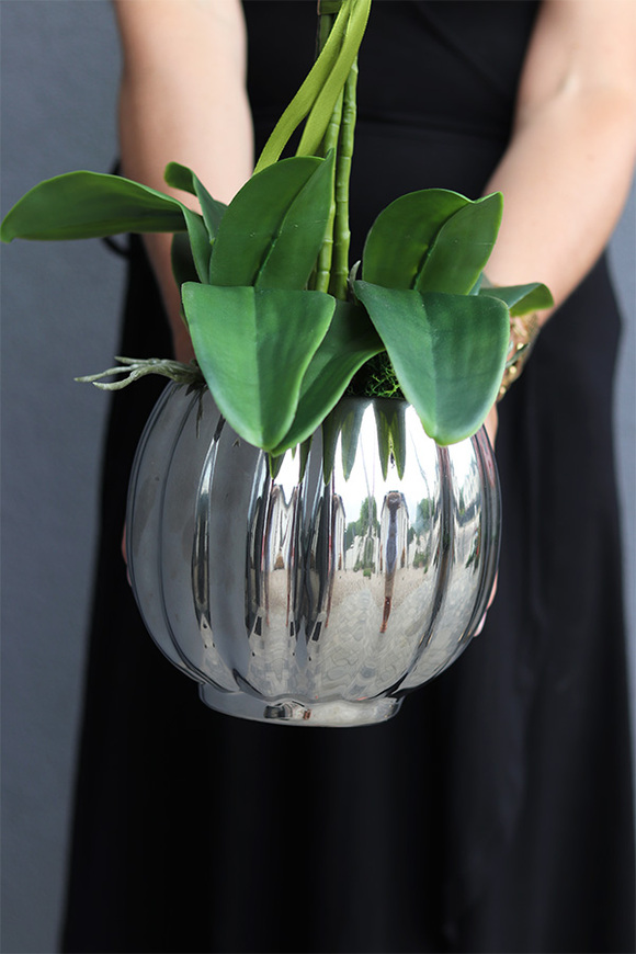 Hydrasio Silver, elegancki storczyk w srebrnej donicy, wys.69cm 