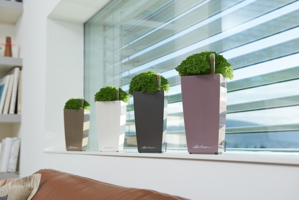 Cubi Mini, elegancka donica z nawadnianiem, antracyt