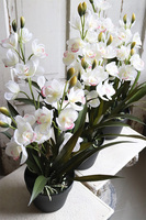 OD RĘKI Ramesa Cymbydium, sztuczny storczyk doniczkowy, wys.55cm