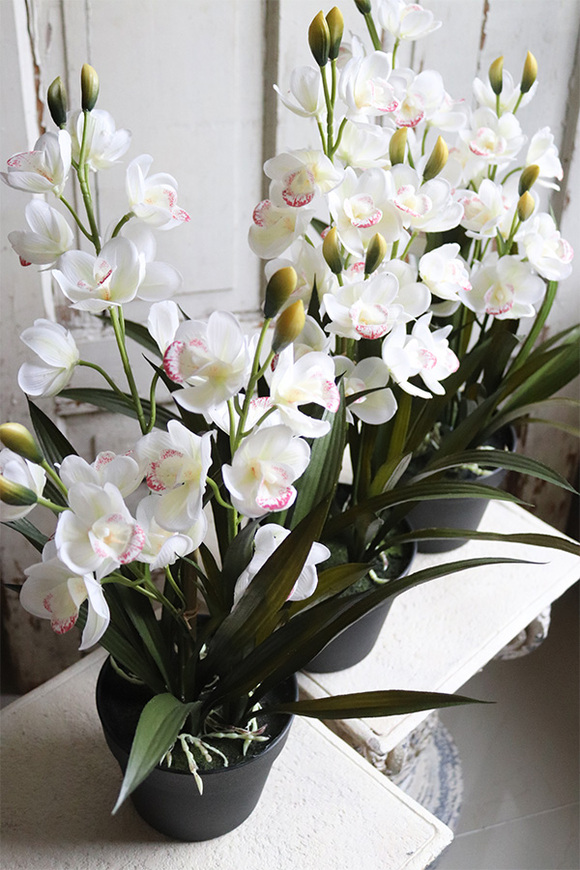 OD RĘKI Ramesa Cymbydium, sztuczny storczyk doniczkowy, wys.55cm