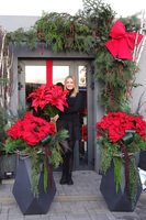 Gwiazda Betlejemska Hermitage, wysokiej jakości sztuczna roślina XL