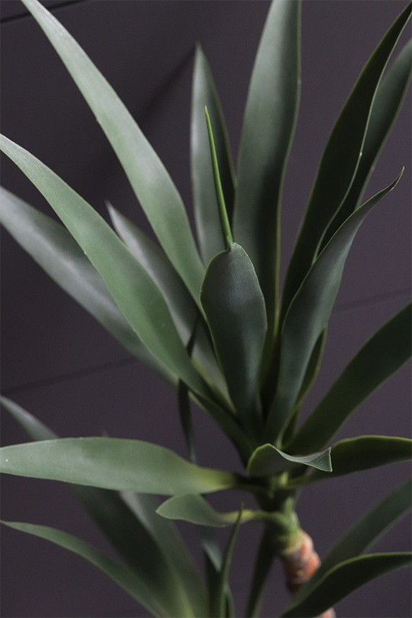 Jukka Modena, sztuczna roślina drzewko