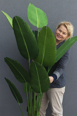 Bananowiec, sztuczne drzewko w osłonce donicy, wys.175cm 