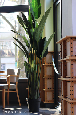 Bananowiec Giant, sztuczna roślina w doniczce, wys.230cm