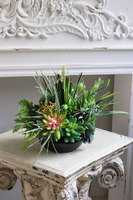 Zielony Dom, kompozycja sukulenty w okrągłej donicy	