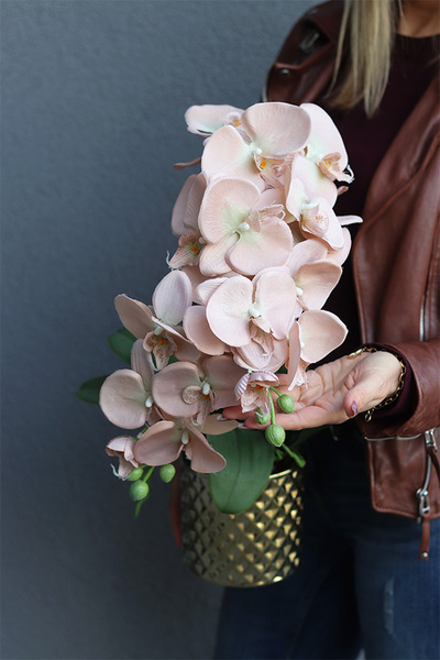 Capuccino Gold, sztuczny storczyk w złotej donicy