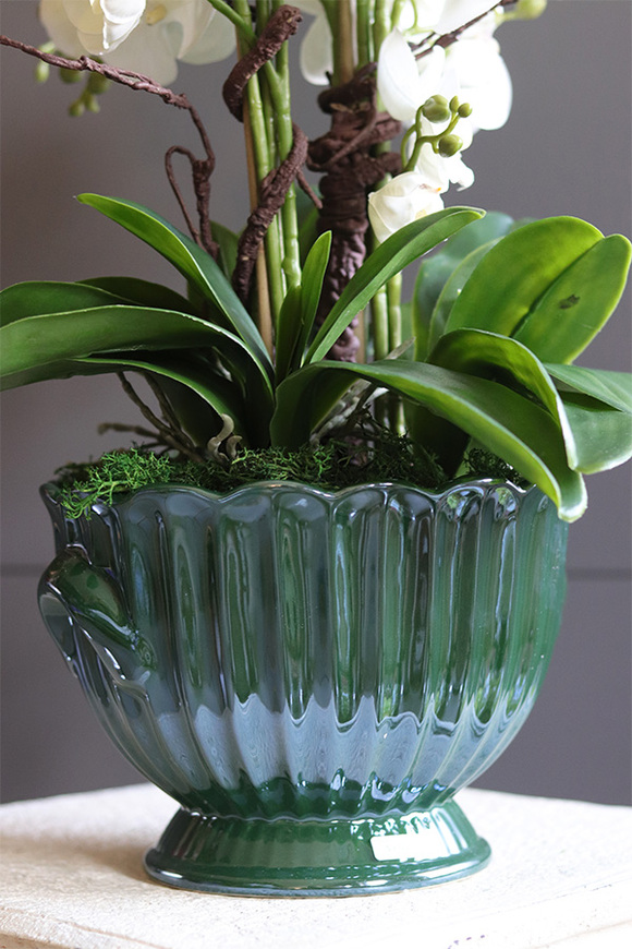 Green Embassy, nowoczesny storczyk w zielonym pucharze