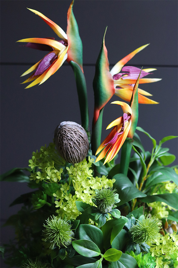 egzotyczna kompozycja w srebrnej donicy, Strelicja Central Park