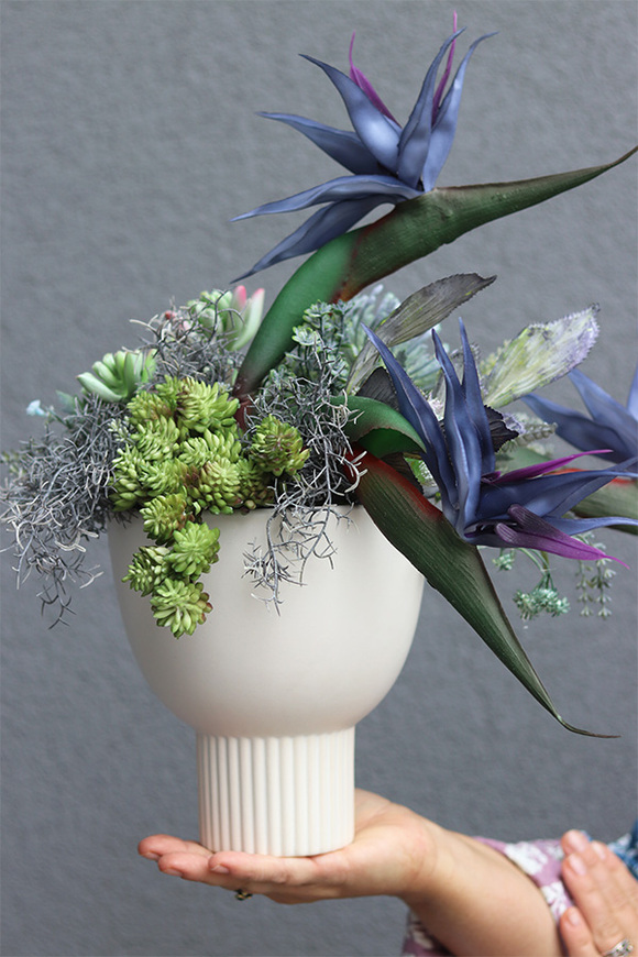 Elenita Blue, kompozycja kwiatowa ze strelicją, wym.42x40cm