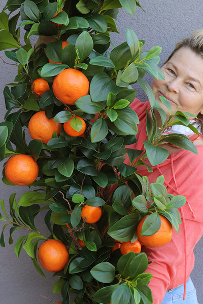 Olimpia Pomarańcze, zielona girlanda dekoracyjna z owocami
