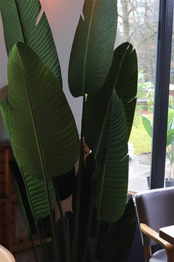 Bananowiec Gold Line, sztuczna roślina w donicy, wys.155cm