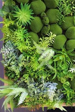 atrakcyjna jednostronna rama, Sukulenty Green Forest, wym.73x54cm