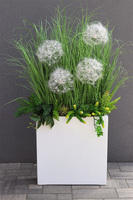 Fiberglass Marco Fretera, sztuczne trawy w białej donicy