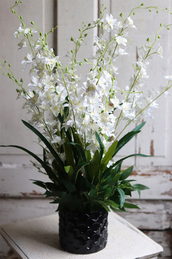 Blackera, sztuczny storczyk tajski, wys.66cm